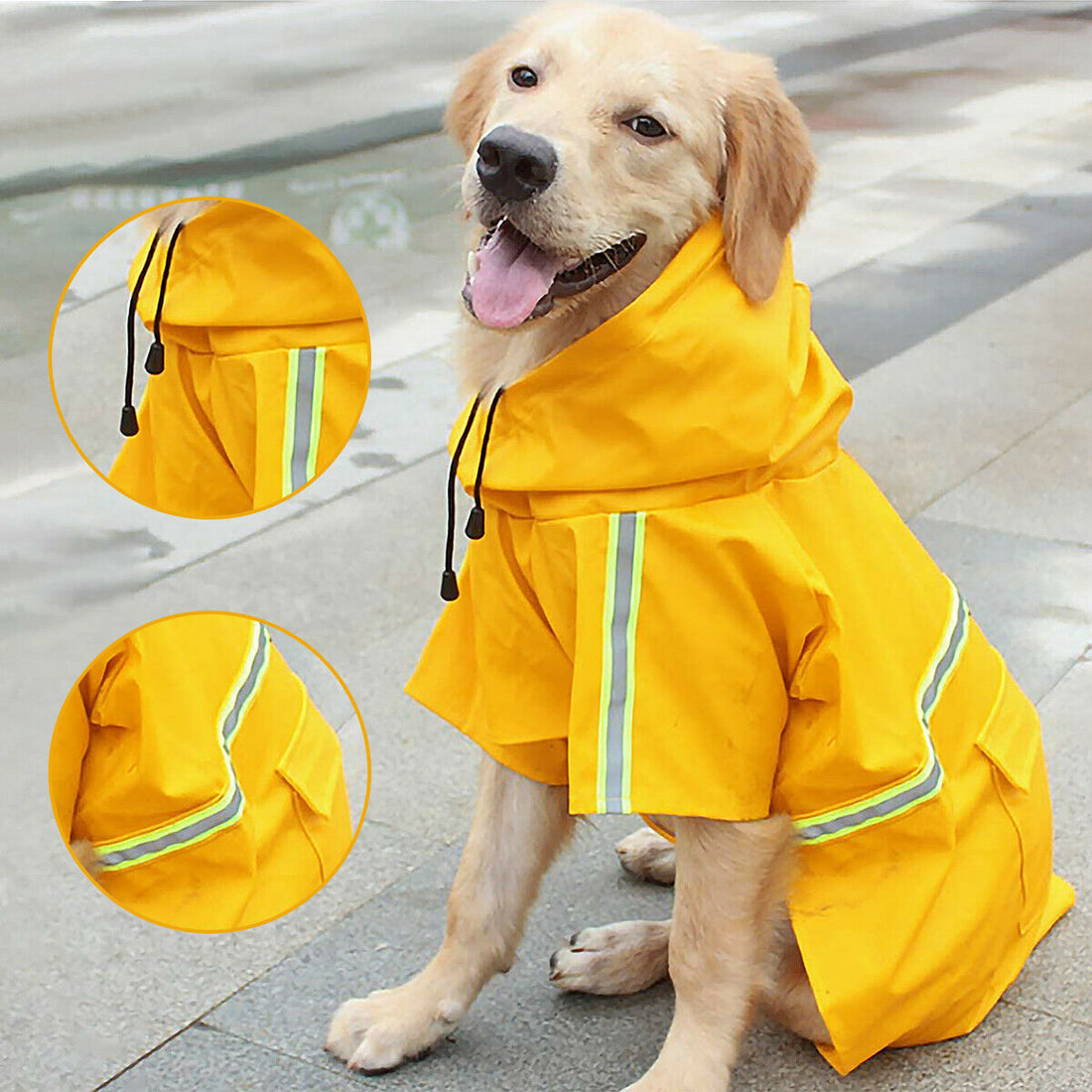 Best Dog Raincoats to Keep Your Pup Dry