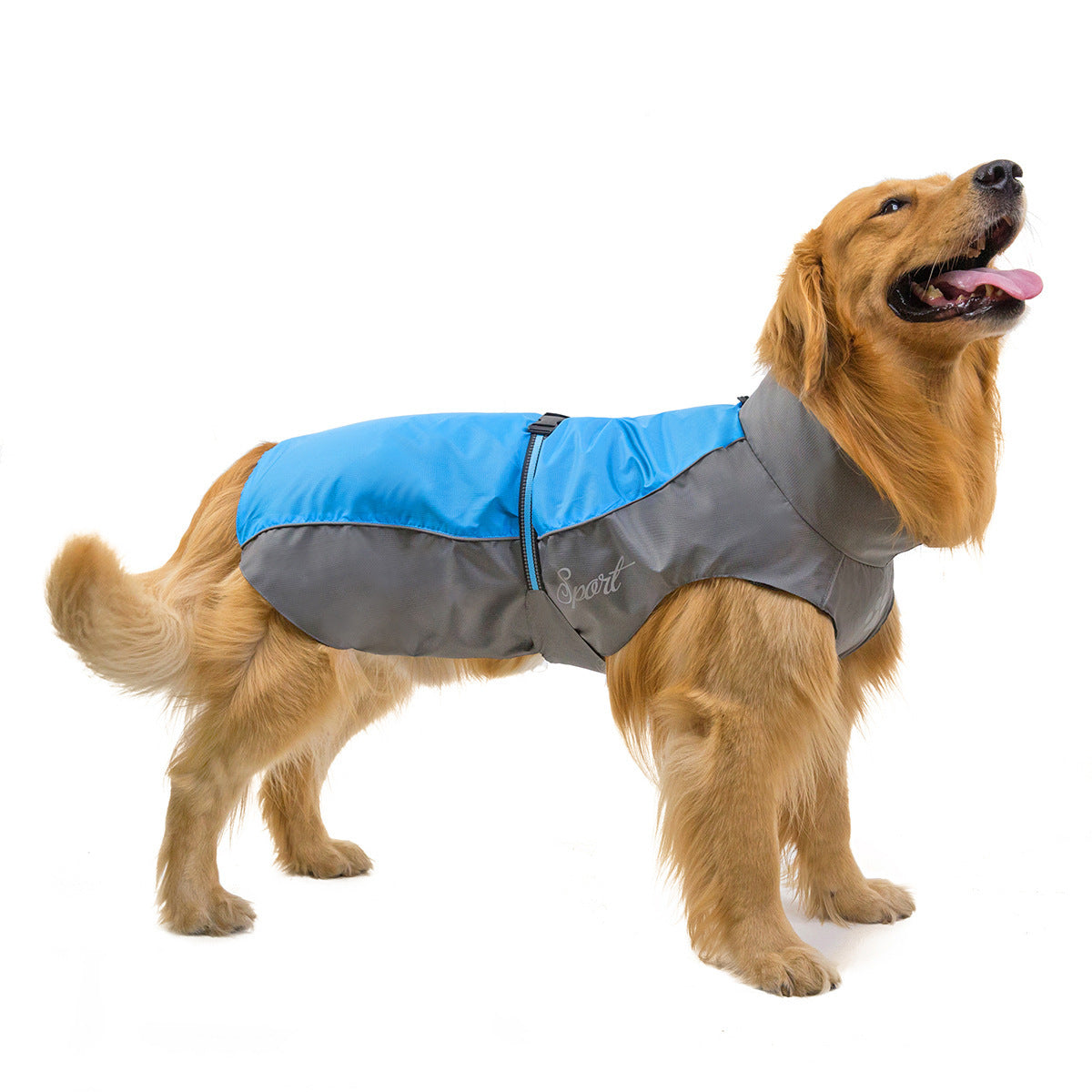 Pet Big Dog Clothes Raincoat Golden Retriever Husky