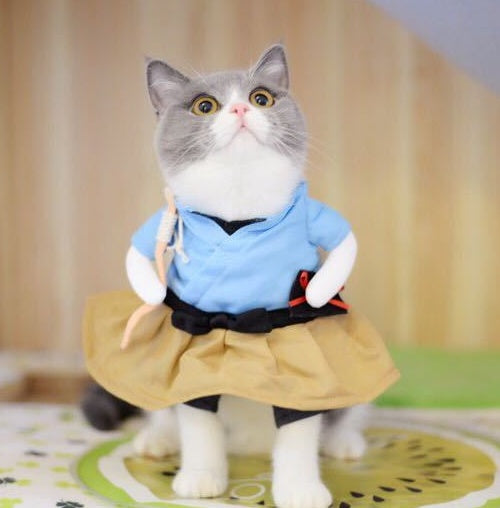 Funny Cat Costume