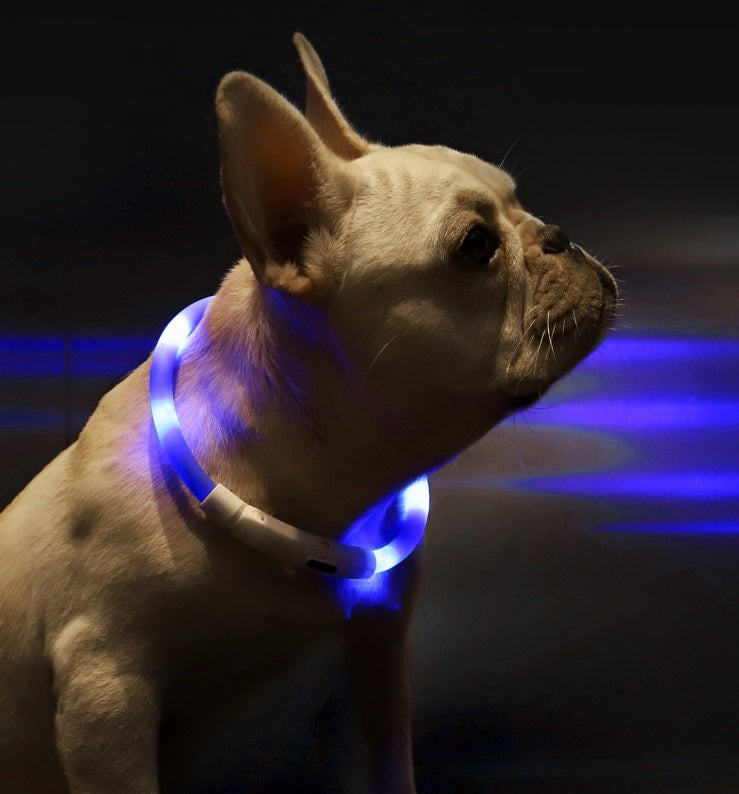 Light Collar Anti-Lost Collar for Dogs