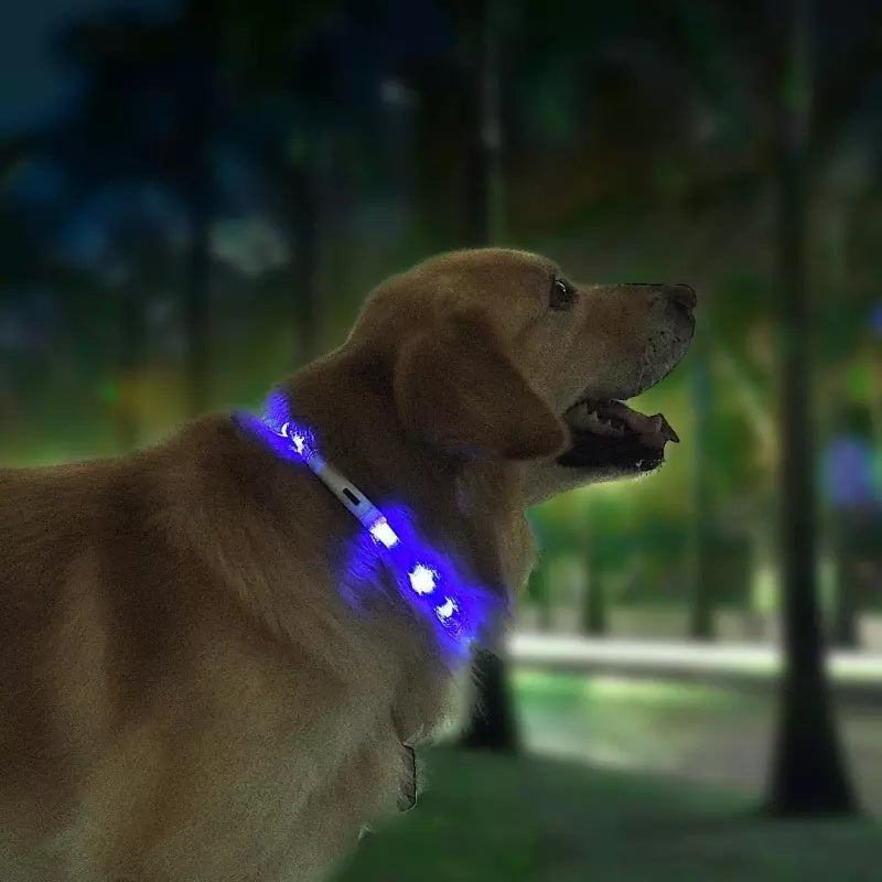 Light Collar Anti-Lost Collar for Dogs