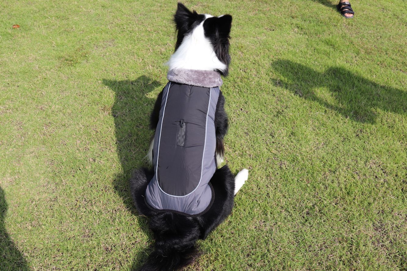 Thickened dog padded coat reflective dog clothing