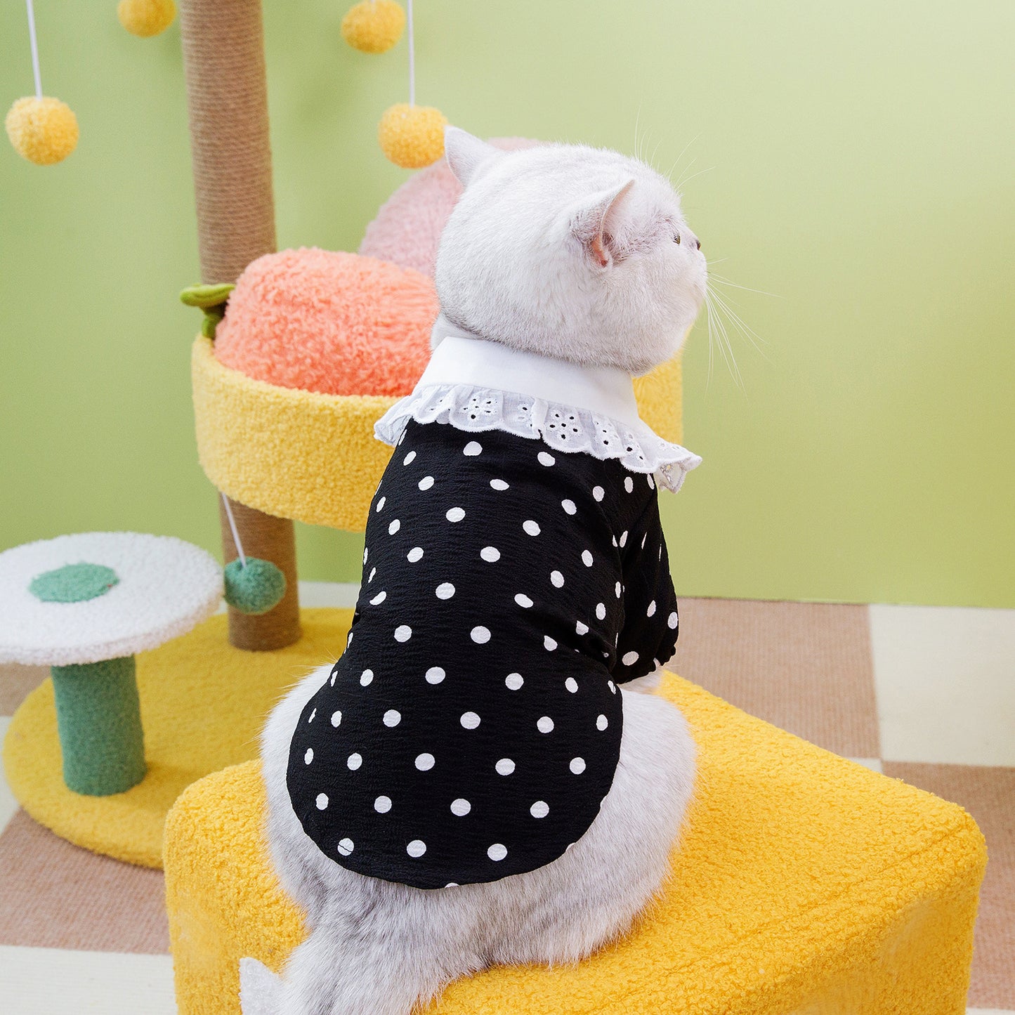 Pet Clothes Blue Cat Ragdoll T-shirt Clothing