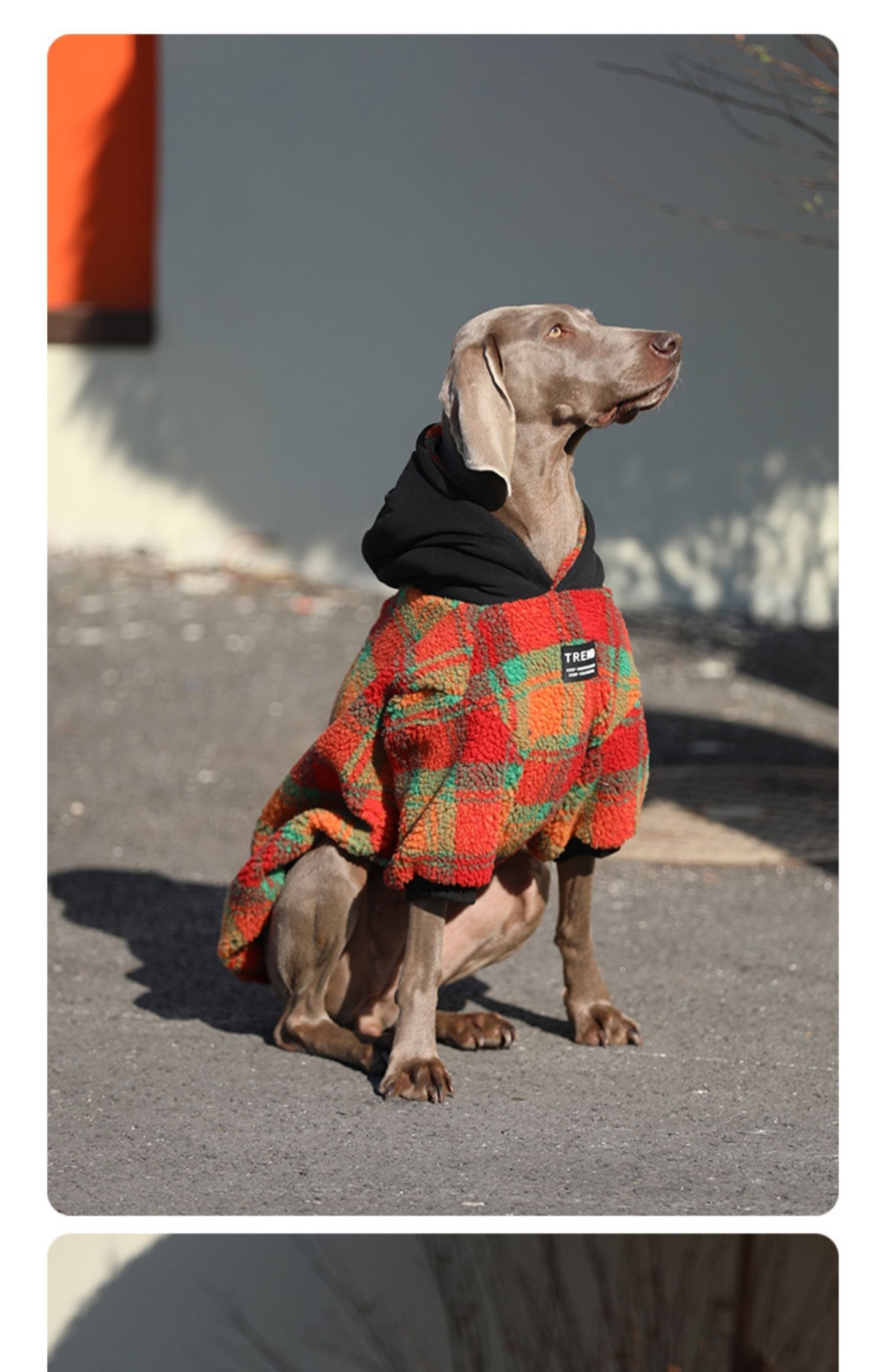 Thick And Warm Clothing For Large Dogs