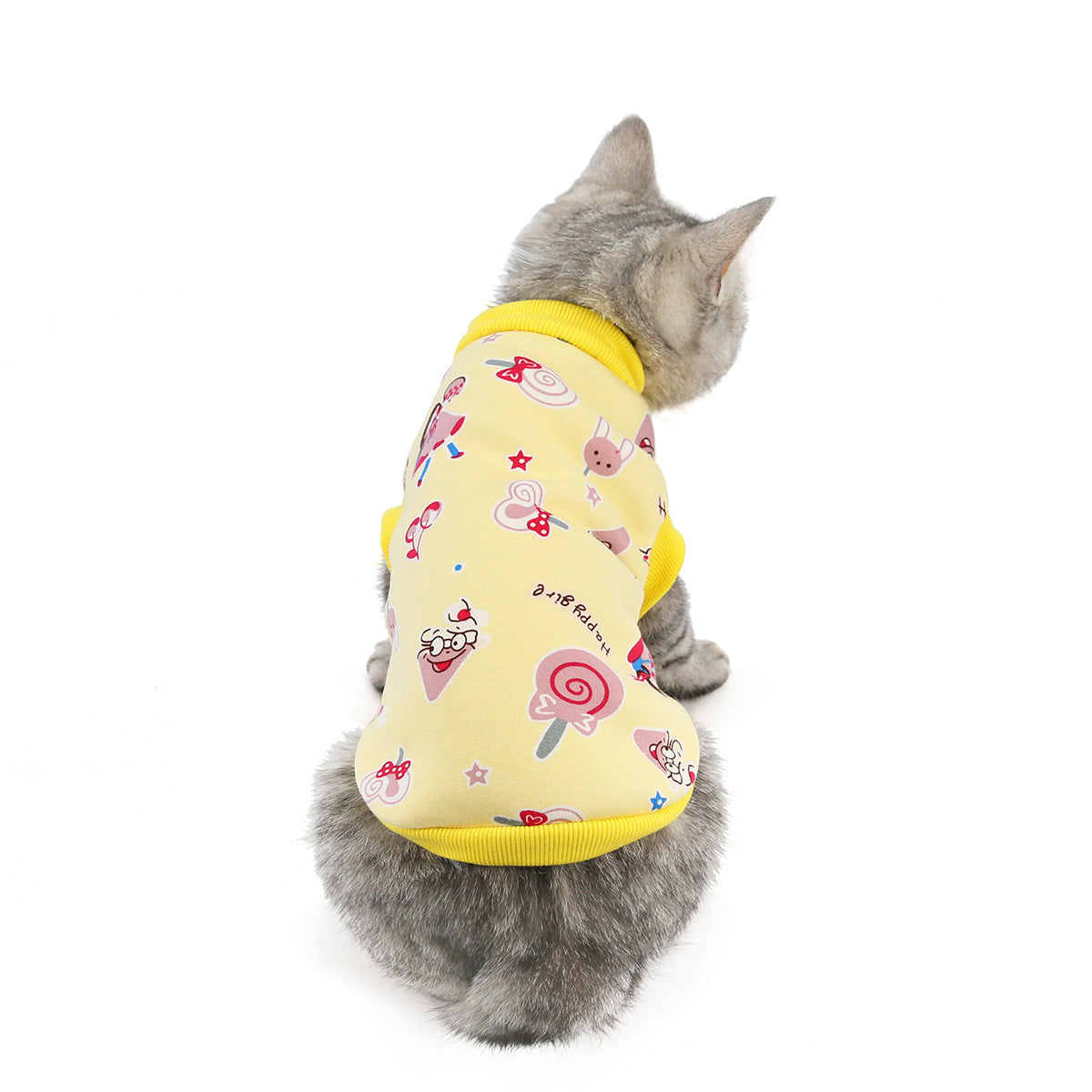 Cat Clothes Autumn And Winter Clothing