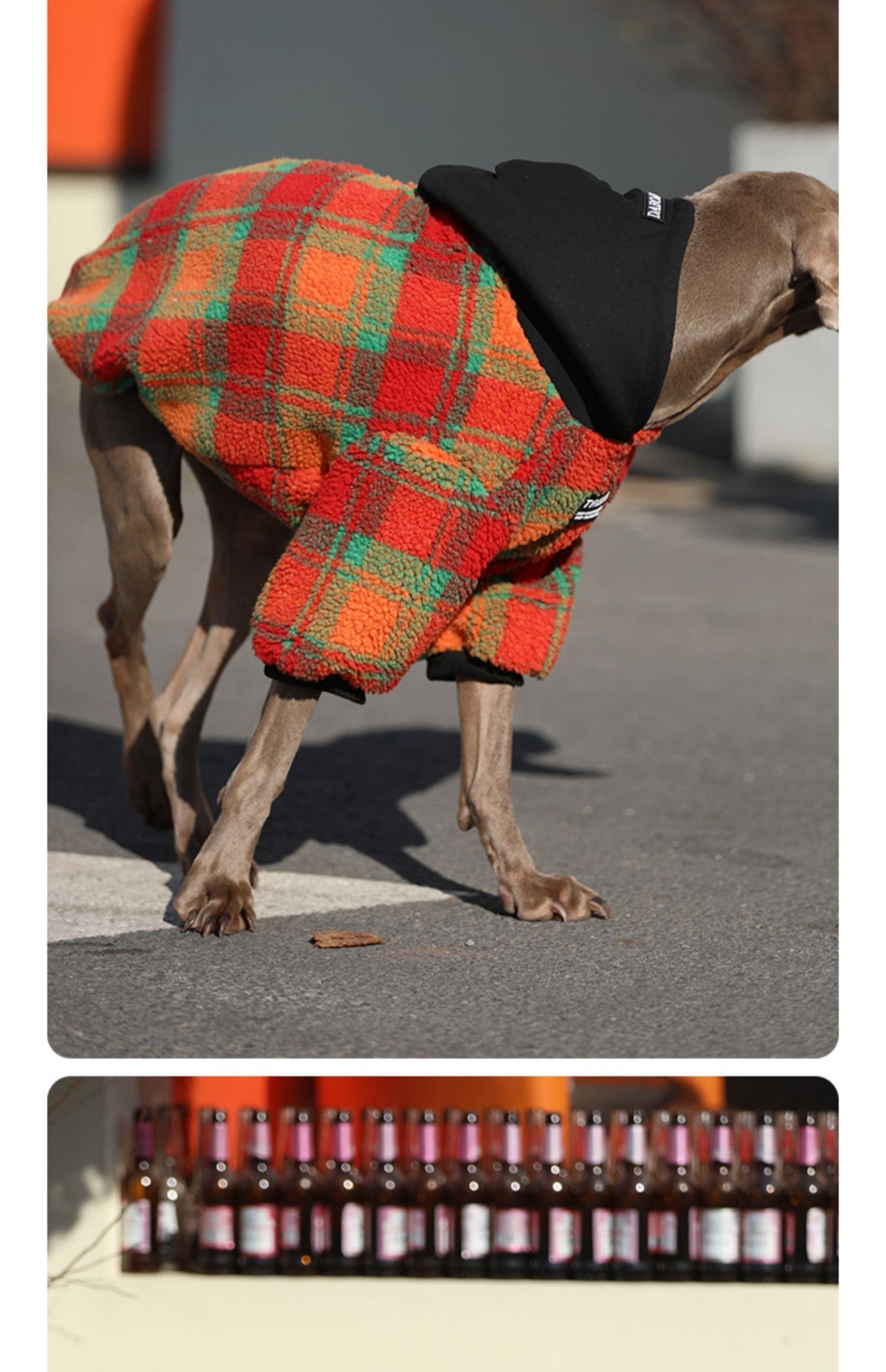 Thick And Warm Clothing For Large Dogs