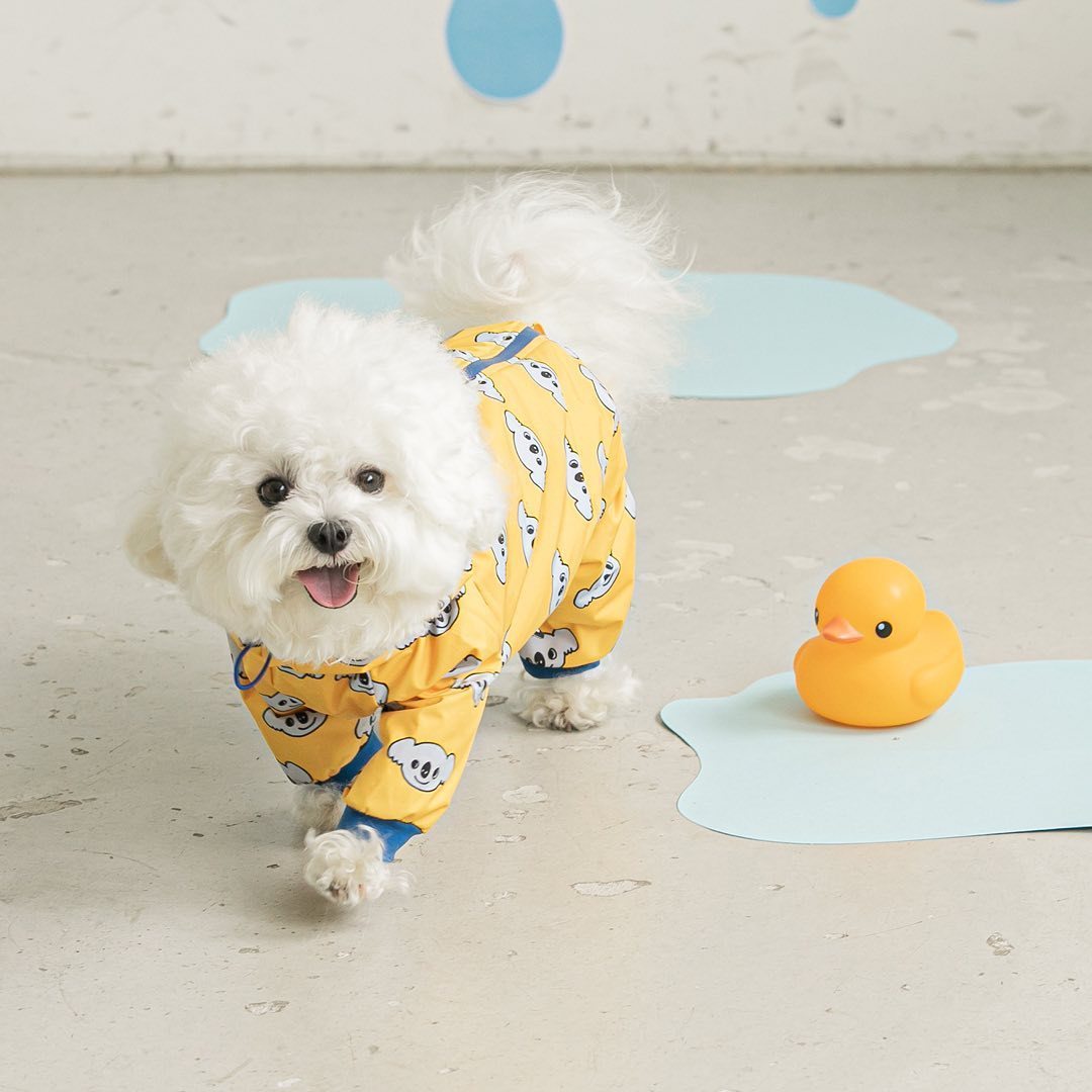 Fashion Pet Dog Waterproof All-around Raincoat