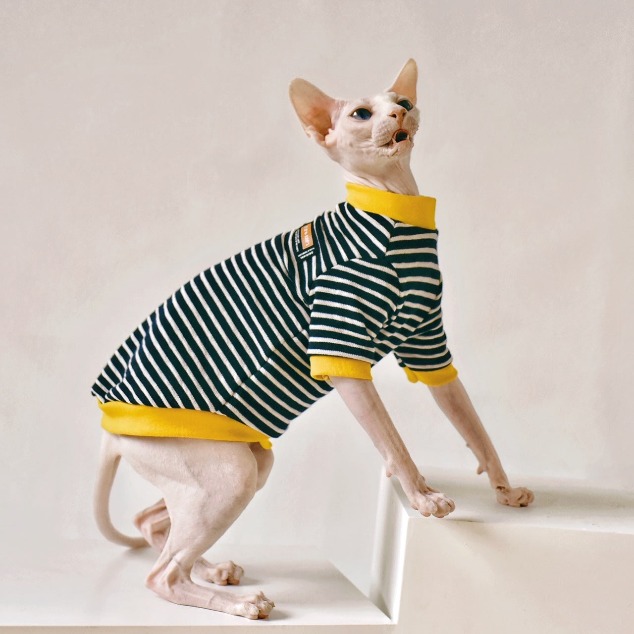 Fabric Sphinx Hairless Cat Clothing