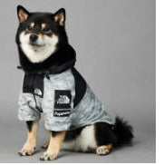 Windproof And Rainproof Large Dog Raincoat Pet Shell Jacket